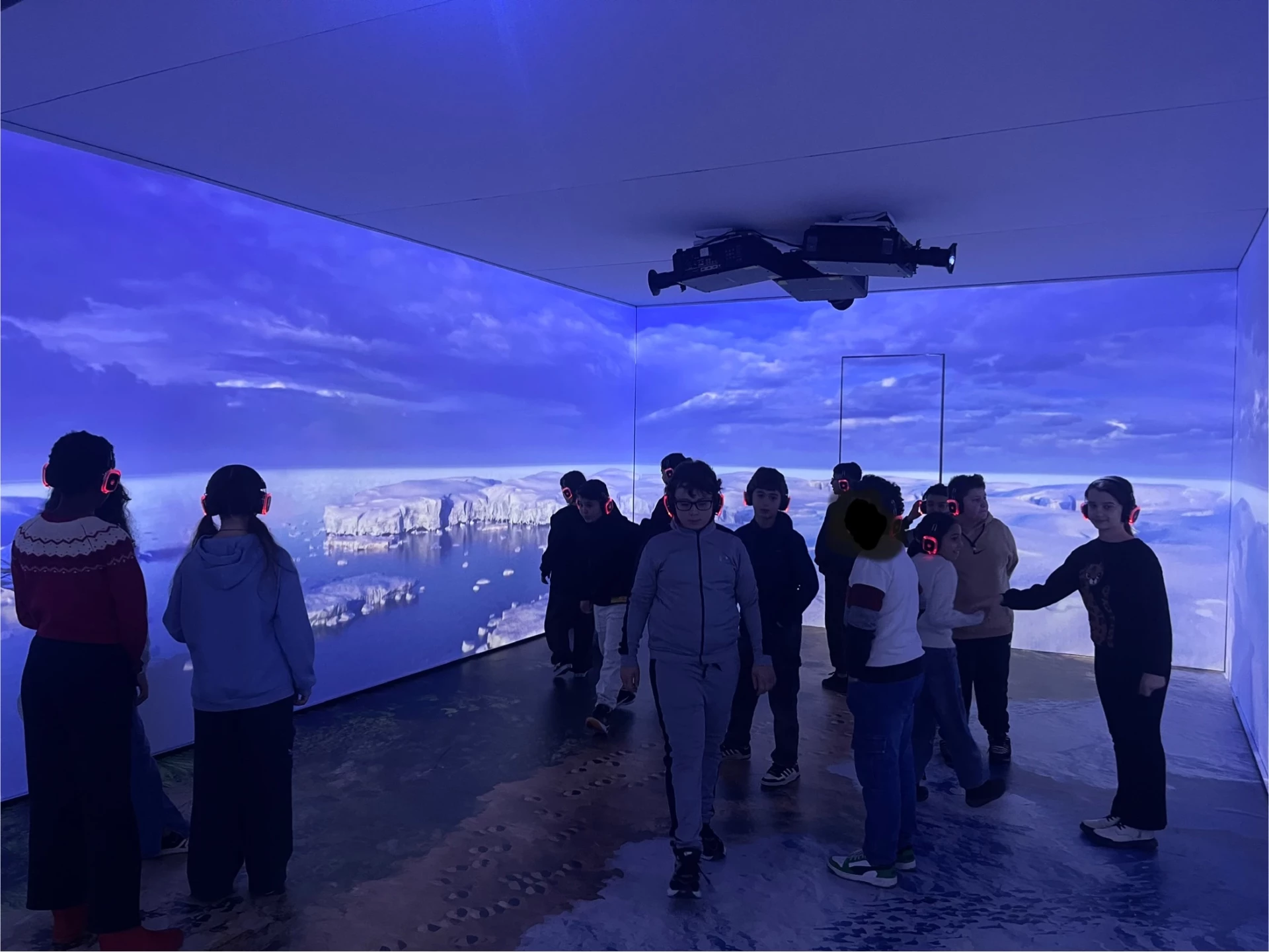 Zoo of the futur P5C – P6C