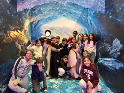 Zoo of the futur P5C – P6C