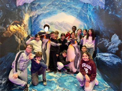Zoo of the futur P5C – P6C