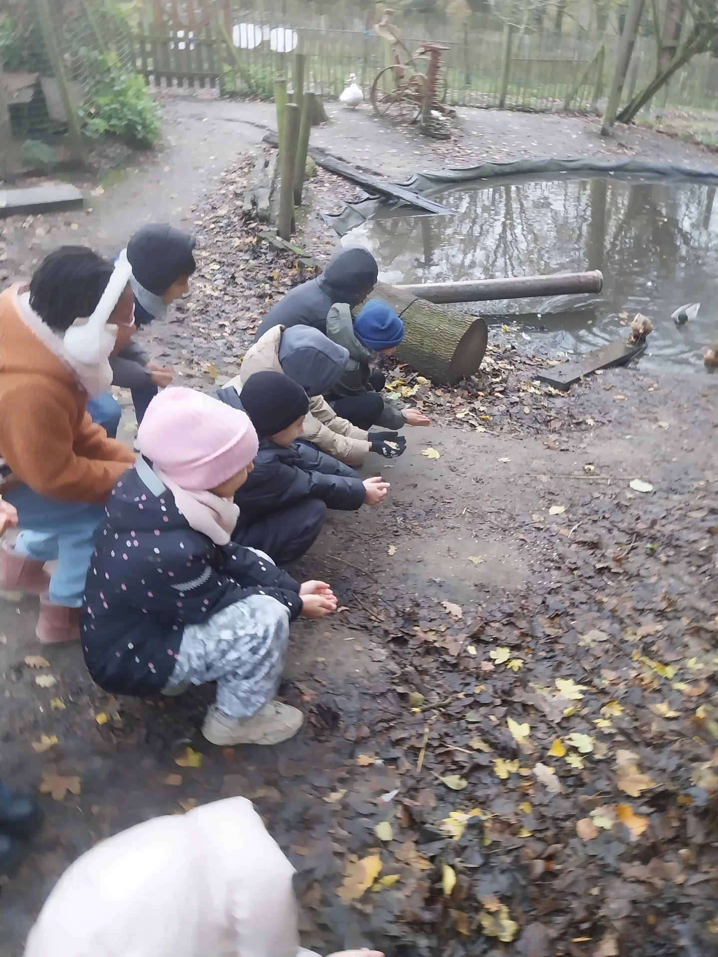 Les 4èmes de Mme Ouardia font du pain à la ferme.
