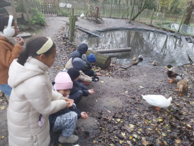 Les 4èmes de Mme Ouardia font du pain à la ferme.