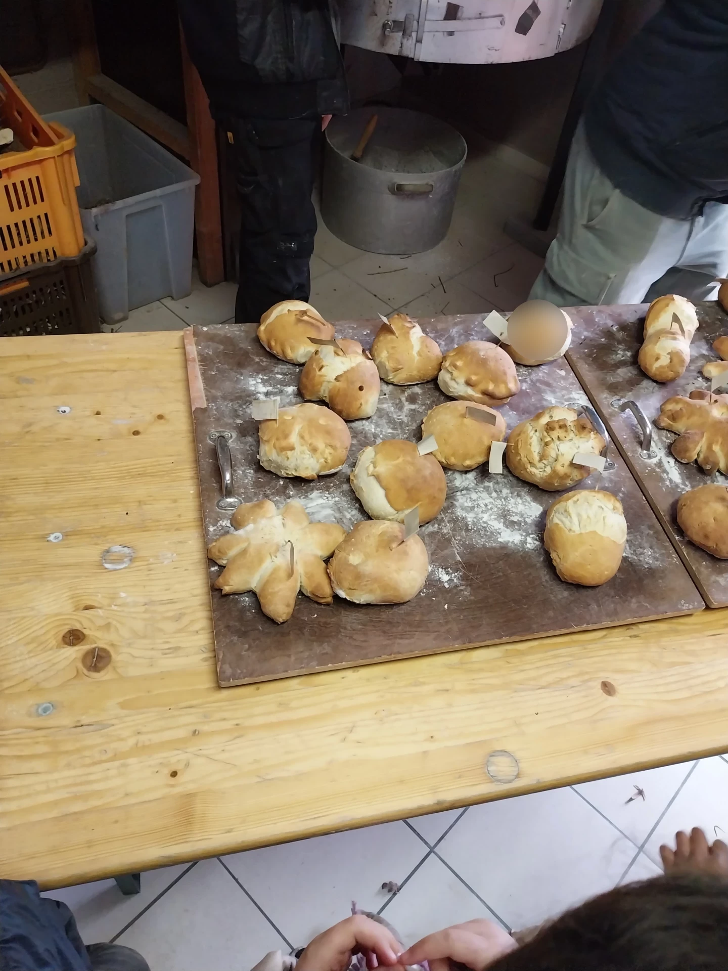 Les 4èmes de Mme Ouardia font du pain à la ferme.