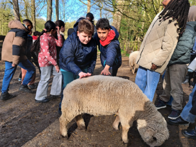 Les 5B à la ferme 🐑