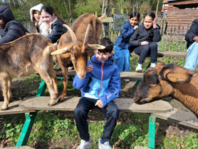 Les 5B à la ferme 🐑