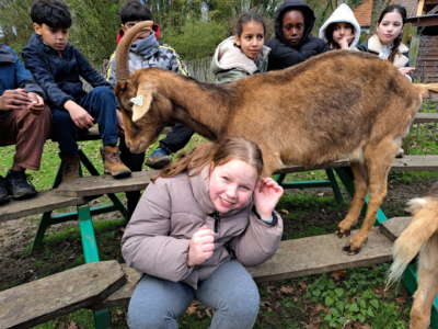 Les 5B à la ferme 🐑