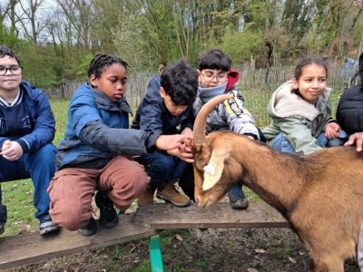 Les 5B à la ferme 🐑