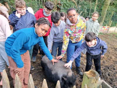 Les 5B à la ferme 🐑