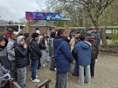 5 & 6 A – Classes vertes (jour 1)