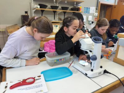 5 & 6 A – Classes vertes (jour 2)