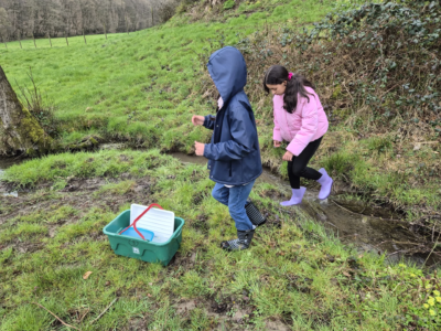 5 & 6 A – Classes vertes (jour 3) 🌤️
