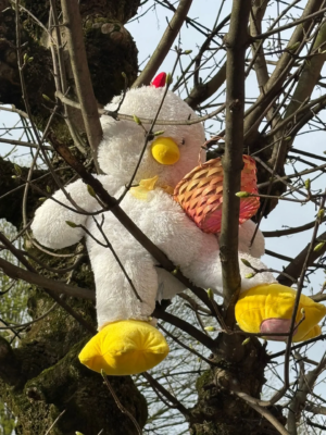 Chasse aux oeufs du cycle 3/4