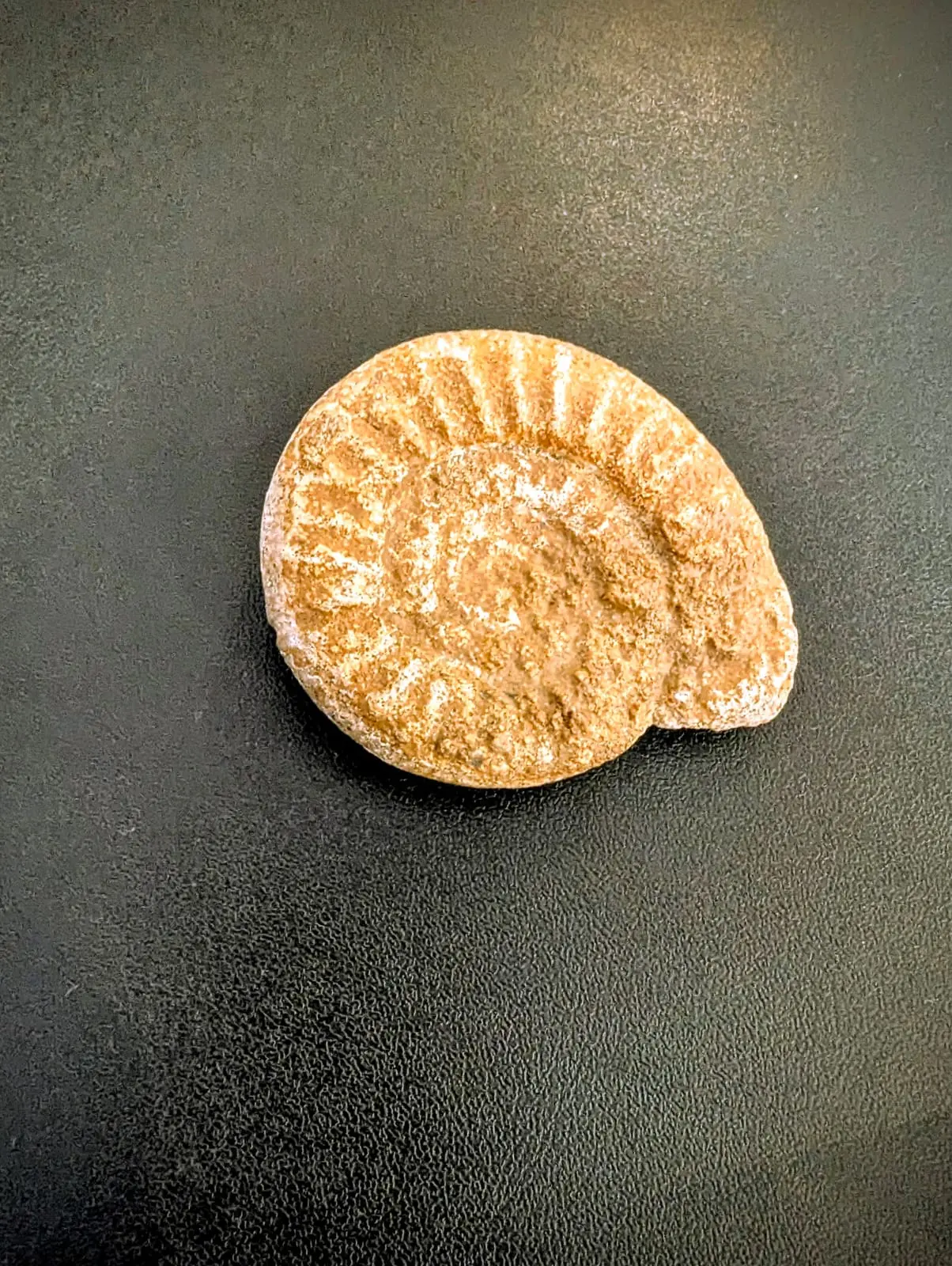 5 & 6 A – Classes vertes (jour 3) 🌤️