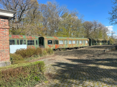 5 & 6 A – Classes vertes (jour 3) 🌤️