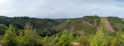 100km Cap 48