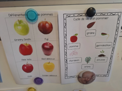 Fête de la pomme chez M. Elena