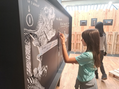 6B : Musée de la BD 📚