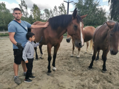 Les P1C à la ferme