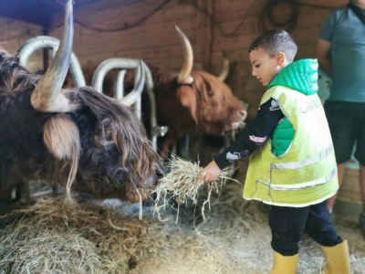Les P1C à la ferme