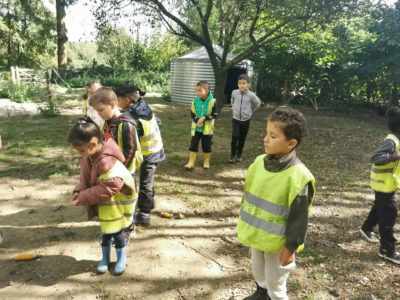 Les P1C à la ferme