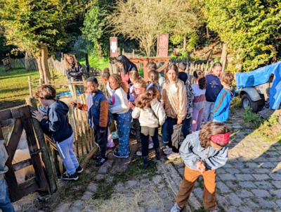 Les 3èmes C à la ferme pour enfants de Jette