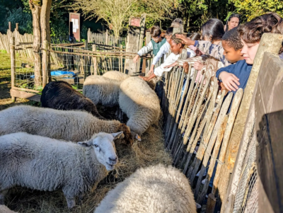 Les 3èmes C à la ferme pour enfants de Jette