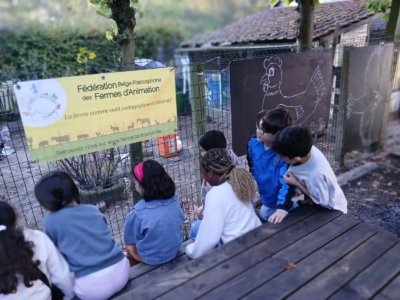Les 3èmes C à la ferme pour enfants de Jette