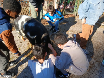 Les 3èmes C à la ferme pour enfants de Jette