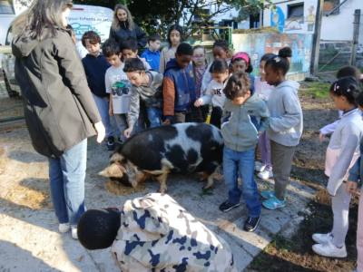 Les 3èmes C à la ferme pour enfants de Jette