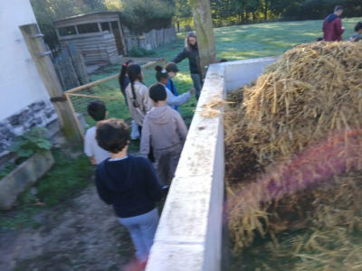 Les 3èmes C à la ferme pour enfants de Jette